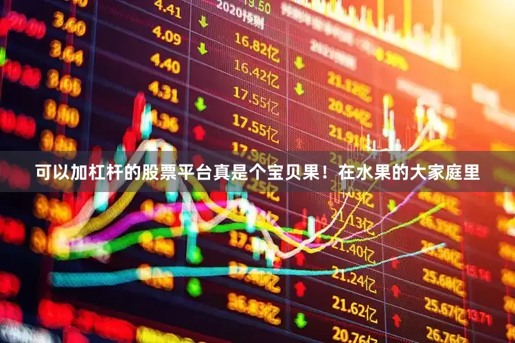 可以加杠杆的股票平台真是个宝贝果！在水果的大家庭里