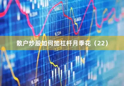 散户炒股如何加杠杆月季花（22）
