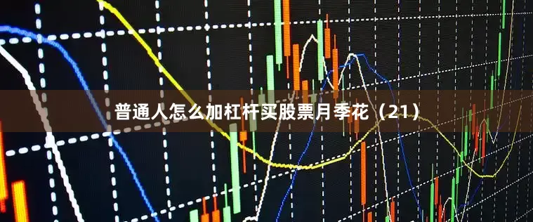 普通人怎么加杠杆买股票月季花（21）