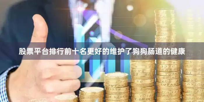 股票平台排行前十名更好的维护了狗狗肠道的健康